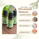 KIT LAVANDA + MELALEUCA + ALECRIM ÓLEO ESSENCIAL PURO GOTEJADOR