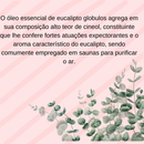 Kit 7 Óleos Essenciais 100% Puros Naturais Usado em difusores de aromas, massagens, escalda pé, etc