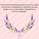Kit 7 Óleos Essenciais 100% Puros Naturais Usado em difusores de aromas, massagens, escalda pé, etc