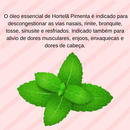 Kit 7 Óleos Essenciais 100% Puros Naturais Usado em difusores de aromas, massagens, escalda pé, etc