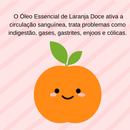 Kit 7 Óleos Essenciais 100% Puros Naturais Usado em difusores de aromas, massagens, escalda pé, etc
