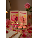 Velas Aromáticas Aura 6 unidades - Importada da Polônia