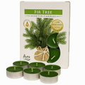 Velas Aromáticas Aura 6 Unidades – Importadas da Polônia | Relaxamento e Aromaterapia