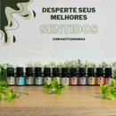 Kit 12 Essências Aromáticas 10ml Para Difusor Umidificador Aromatizador Aromaterapia – Nattuaromas